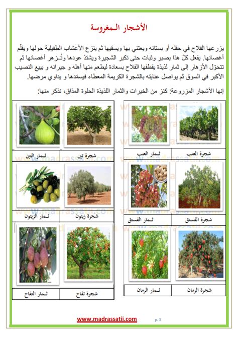 موسوعة الاشجار والاسماء باللاتينى pdf